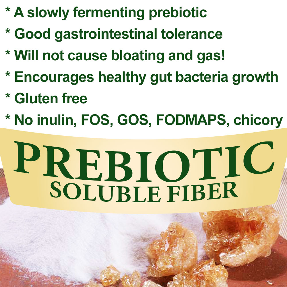 Tummy Fiber Organic Acacia Senegal TRAVEL STICK PACKS CASE (12 boxes)