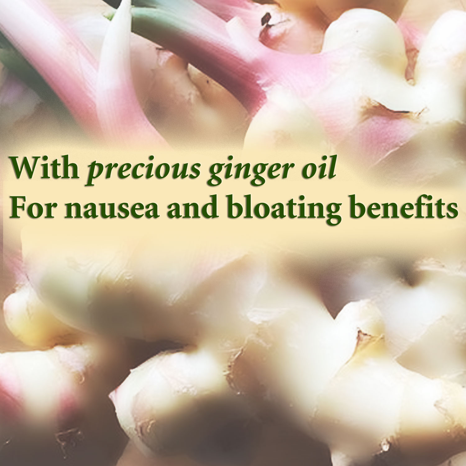 Peppermint Kit - Peppermint Tea Bags & Peppermint oil Capsules