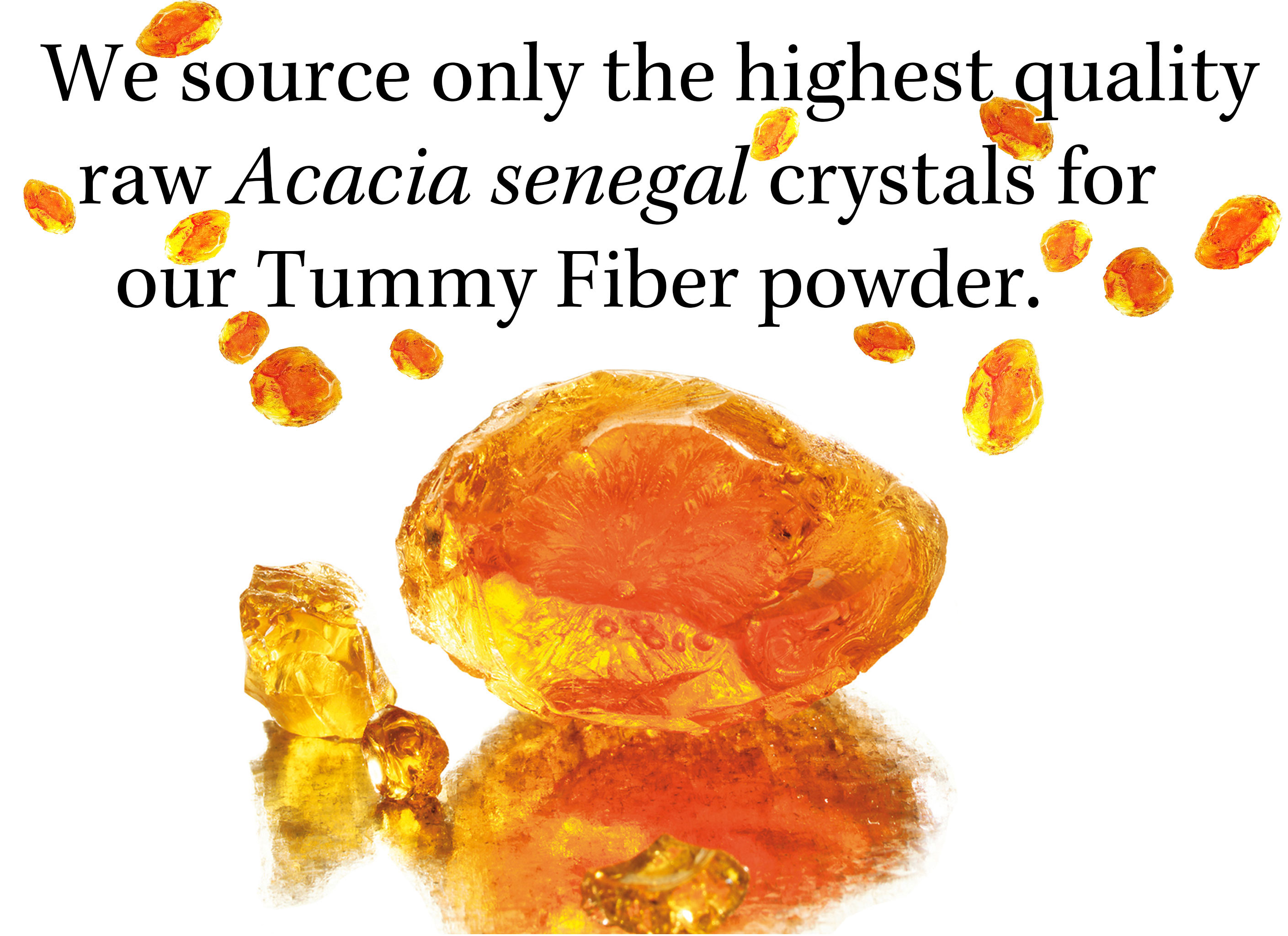 Diet Starter Kit - Eating for IBS, First Year IBS, Tummy Fiber Acacia CAN