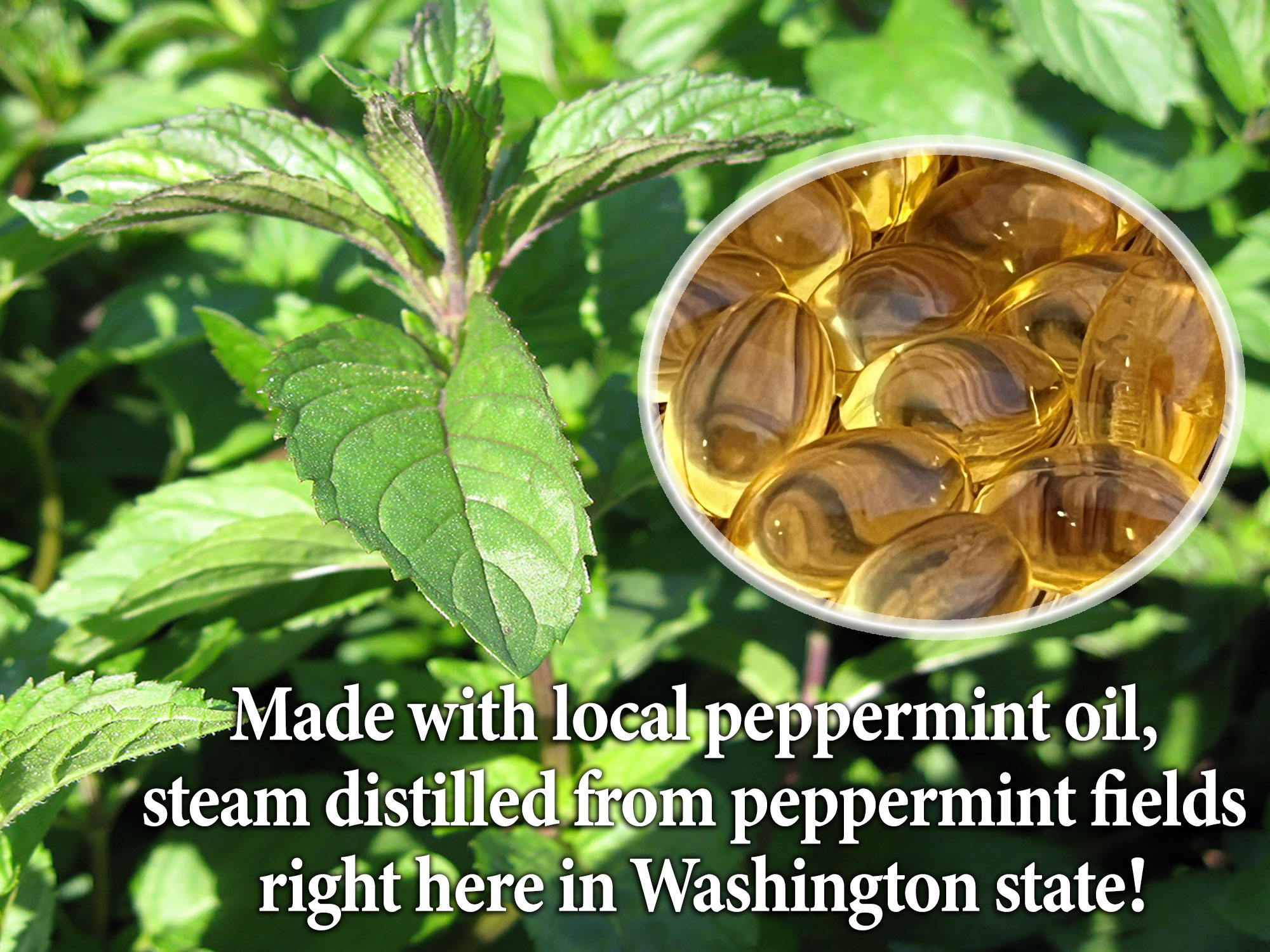 Tummy Tamers Peppermint Oil Caps (2 bottles)