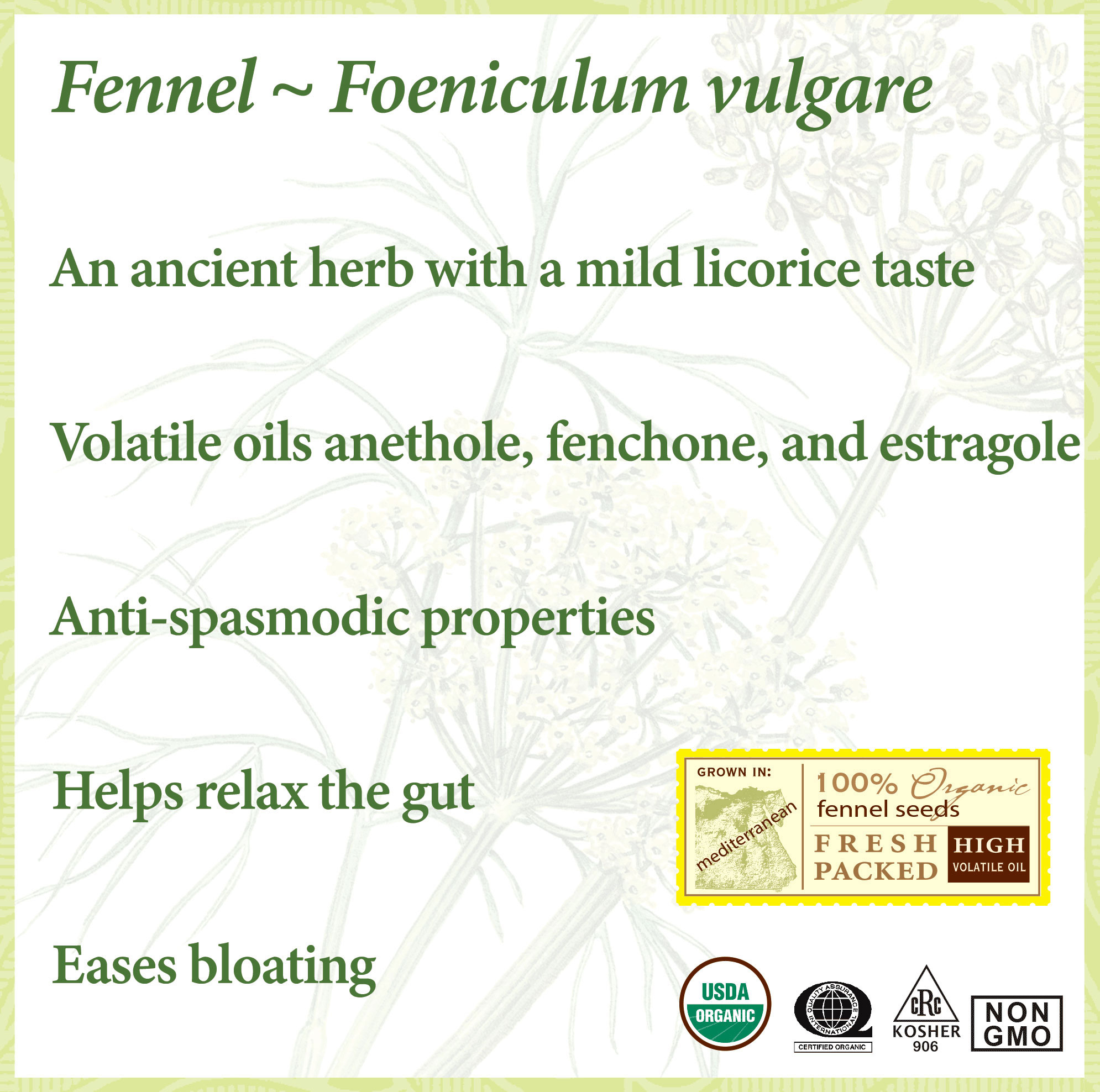 Bulk Fennel Teabag Kit - 3 Cans